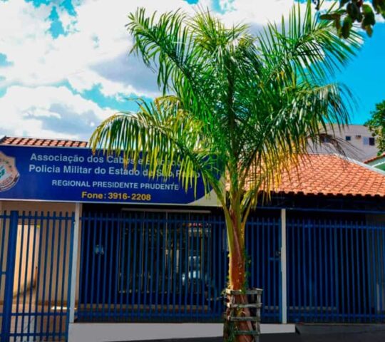 Regional Presidente Prudente