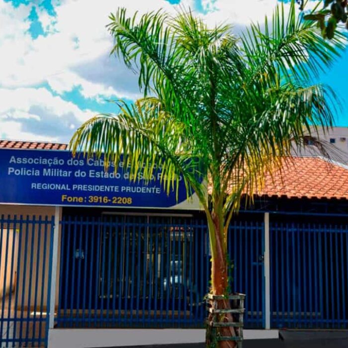 Regional Presidente Prudente
